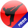 Shotokan Karate Kihon Kumite Free
