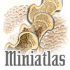 Miniatlas Osteoporosis