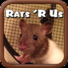 Rats R Us
