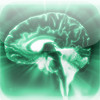 Fearless Brain - Memory trainer Genius