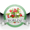 Forlini Garden