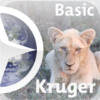 Basic Kruger