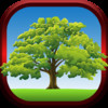 Specialty Tree Care LLC - Shreveport