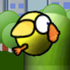Flappy Pro ~ The expert bird adventure