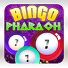 Bingo Pharaoh - Gold Rush