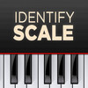 Identify Scale