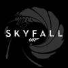 Skyfall Gun Barrel