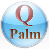 Qpalm Acupuncture