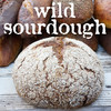 Wild Sourdough