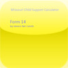 Form 14 iPad Version