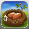 Nest Egg - Inventory