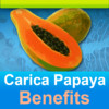 Carica Papaya Benefits St