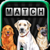 A Dogs Find Puzzle Quest - Free Version