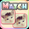 Cute Kitten Match HD - Memory Game Fun