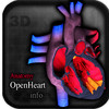 Anatomy OpenHeart info