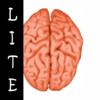 Allinson - Brainstorm LITE