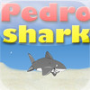 Shark Pedro | fishing | Shooting