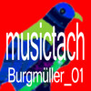 Brugmuller_01 musictach