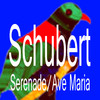 Schubert Serenade musictach