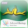 Biology A-Level Banana Skins