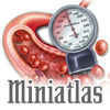 Miniatlas Hypertension