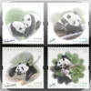 Chinese Nationality Stamp Collection