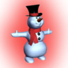 The 3d Talking Snowman : Xmas & Christmas Greetings and more