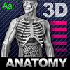 Human Body Advanced Encyclopedia 3D Anatomy