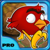 Happy Birds On The Run PRO - Cool Fun Adventure Arcade Game - FOR VIPs ONLY