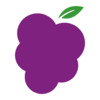 Grapevine App