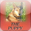 The Puppy A True Story