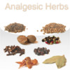 Analgesic Herbs