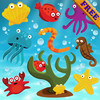 Fishes Puzzles for Toddlers and Kids FREE