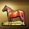 Horse Encyclopedia