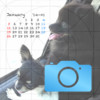wwwPaper + Calendar