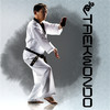 Kukkiwon Taekwondo Poomsae : Taegeuk Forms