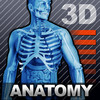 Human Body 3D Anatomy