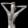 360 Anatomy for Artists - Standing Figure