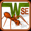 Ant Wars SE
