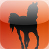 Horse Betting Quicktap