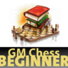 Grand Master Chess Beginner - A collection of books