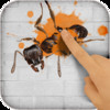 Insect Smasher - Free Ants and Bugs Crush Game !