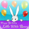 Birthday Bunny - A Children's Story