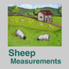 Sheep Measurements Database