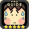 Guide for Stupidness 2 Pro