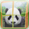 Panda Slidy Puzzle - sliding puzzle for kids