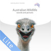 Aussie Wildlife Lite