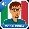 Learn Italian quickly with SRS Memorization - MosaLingua
