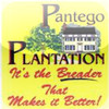 Pantego Plantation