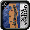 Anatomy Spine 3D